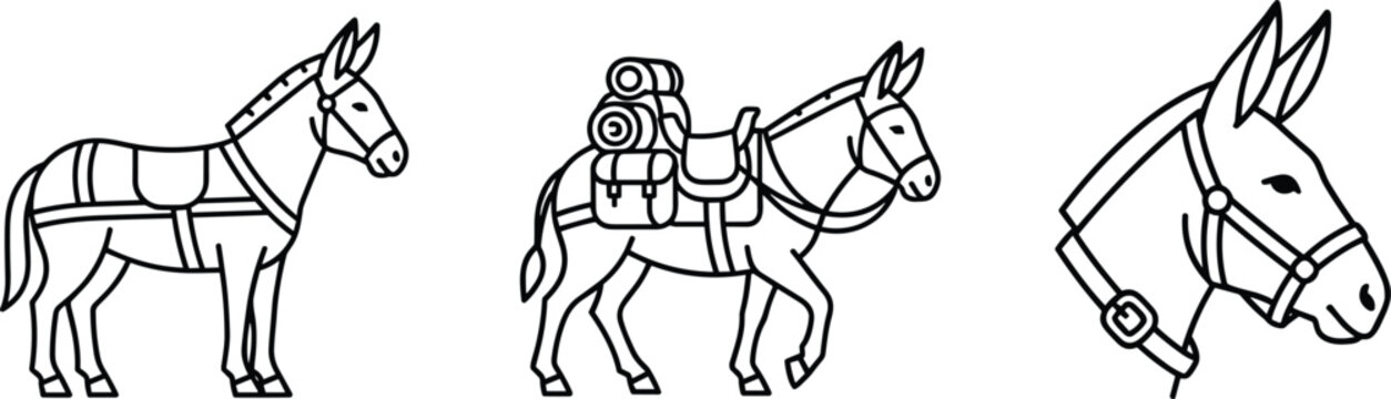 Donkey vector illustration set featuring modern minimalist pack mule camping luggage and profile head icons
