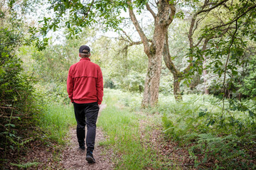 Fototapeta premium Man walking path in green forest enjoying nature