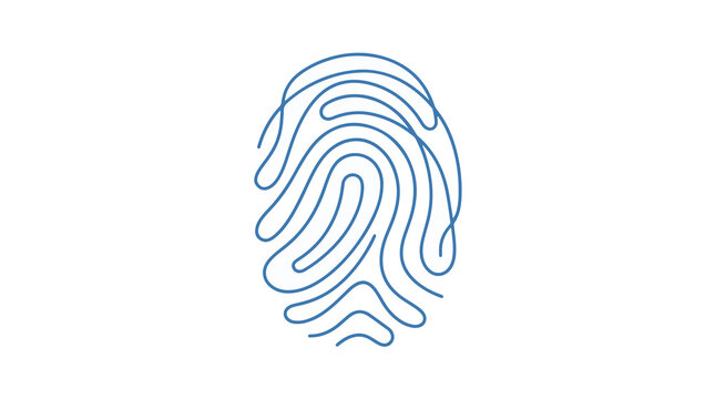 Minimalist blue fingerprint line art illustration on a white background, biometric security and identity concept.