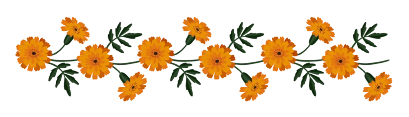 Orange Marigold Flower Border, Indian Toran Garland. Zendu Flowers flowers leaves isolated on background. Festive Floral Party Decor. Diwali, Halloween Dia de los Muertos Holiday, Vector Illustration © tabitazn