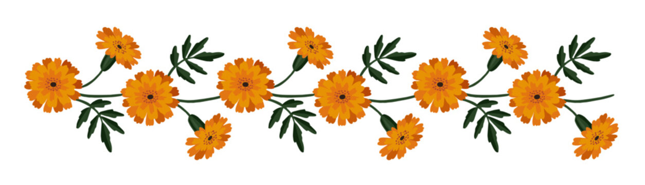 Orange Marigold Flower Border, Indian Toran Garland. Zendu Flowers flowers leaves isolated on background. Festive Floral Party Decor. Diwali, Halloween Dia de los Muertos Holiday, Vector Illustration