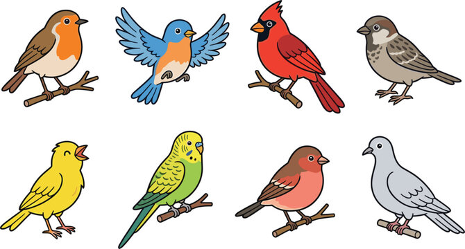 Colorful cartoon vector bird set featuring robin, cardinal, bluebird, sparrow, canary, budgie, finch, pigeon illustration