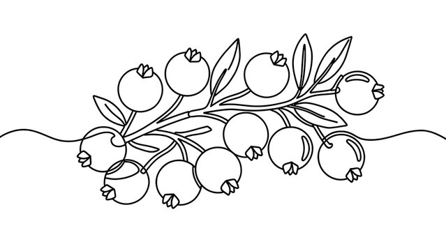 Hand drawn cranberry branch illustration white background.