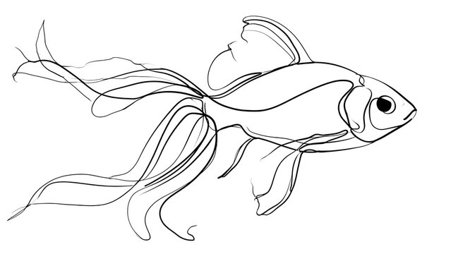 Elegant goldfish line art illustration white background.