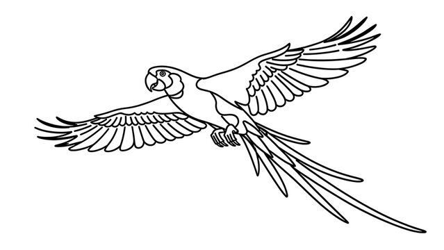 Flying parrot illustration on white background.
