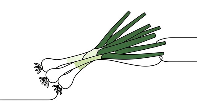 Fresh green onions illustration on white background.