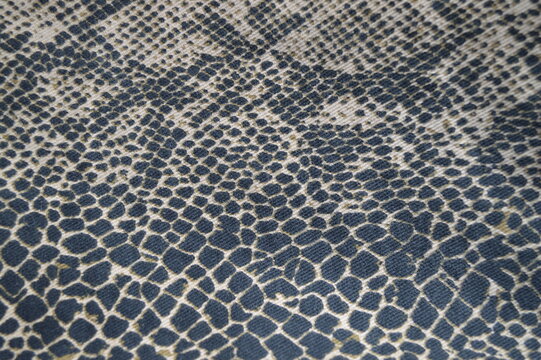 animal print denim