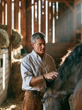 Mature farmer petting a horse in a barn. Rancher caring for livestock in rustic stable.