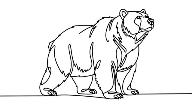 Line art bear illustration on white background.