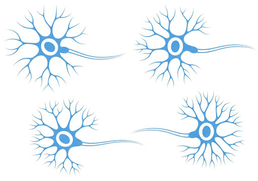 Set of four blue nerve cell neuron icons