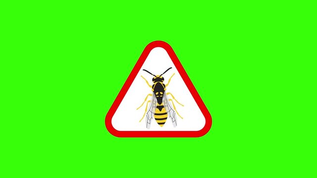 4K Wasp Hornet Danger Warning Sign Motion Graphic Asset