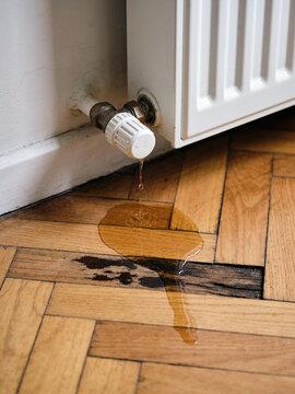 Leaking radiator valve causing water damage to hardwood floor inside a residential home