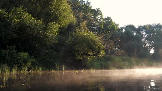 Beautiful morning landscape with mist gently rising from the surface of a tranquil river, its banks covered in lush green forest trees illuminated by the early morning sun. Aerial over river surface