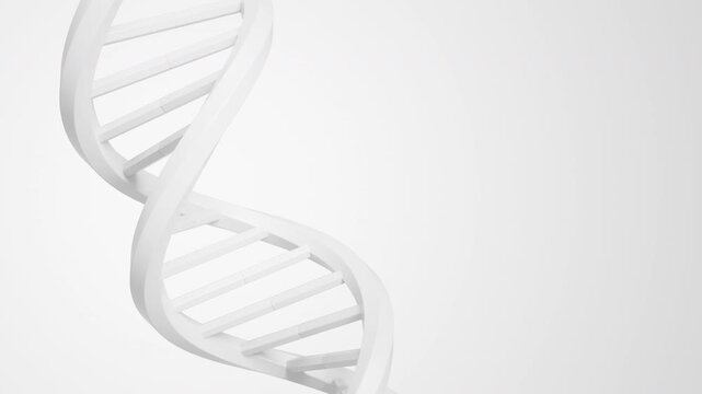 Minimal white DNA double helix rotating on a soft gray background in a precise geometric composition. Mysterious genome science animation and futuristic genetics information concept. 4K UHD.