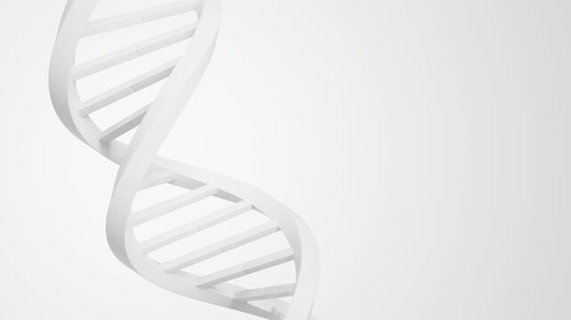 Minimal white DNA double helix rotating on a soft gray background in a balanced square composition. Mysterious genome science animation and futuristic genetics information concept. 4K UHD.
