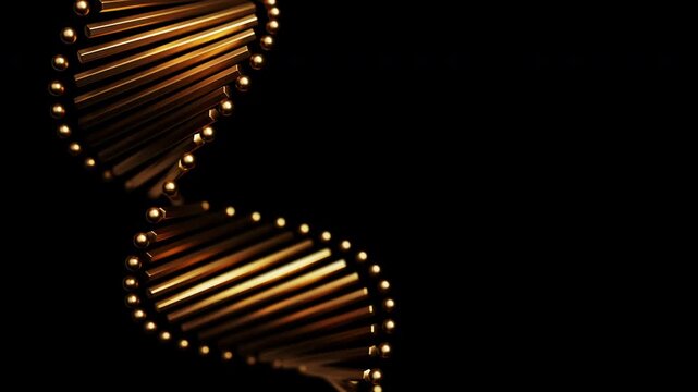 Abstract glittering gold DNA double helix rotating on a black background in a precise geometric composition. Mysterious futuristic genome science animation with depth of field. 4K UHD.