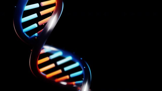 Abstract glowing red and blue glass DNA double helix rotating in dark space in a flowing circular composition. Mysterious futuristic genome science animation with depth of field. 4K UHD.