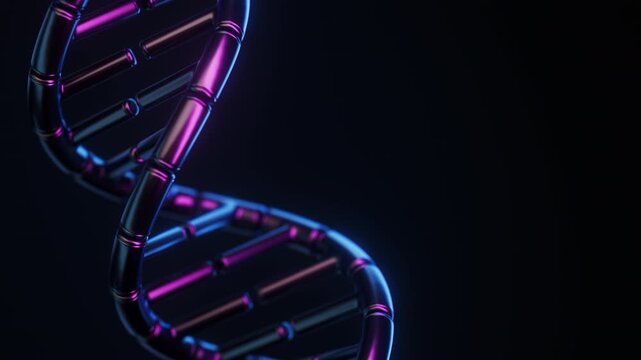 Abstract segmented glass DNA double helix rotating in neon light on black in a dramatic diagonal close-up. Futuristic genome science animation with dramatic depth of field. 4K UHD.