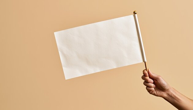 A hand holds a blank white flag on a neutral background