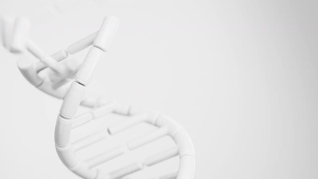 Abstract white DNA double helix assembling from separate molecular elements in a dramatic diagonal close-up. Futuristic genome formation science animation on a clean background. 4K UHD.