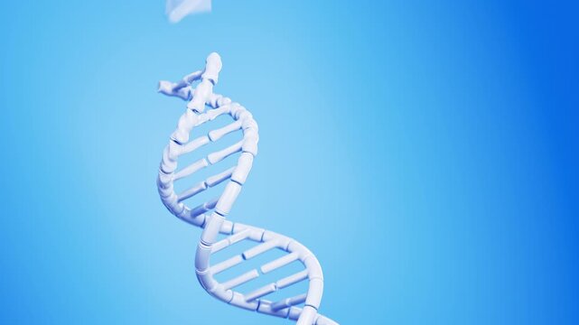Abstract white DNA double helix forming from flying fragments on blue in a dramatic diagonal close-up. Futuristic genome dispersion and conceptual genetics science animation. 4K UHD.