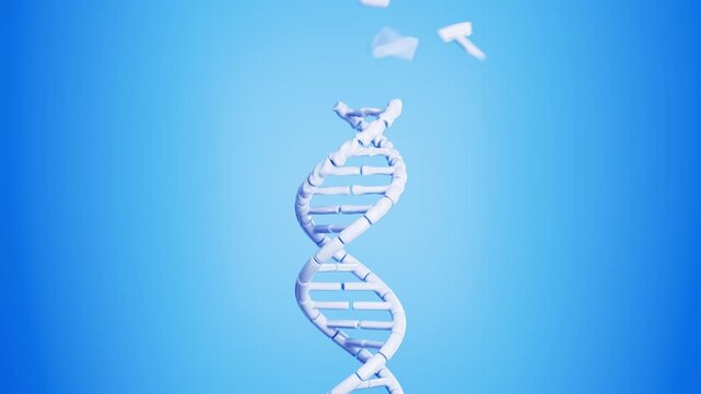 Abstract white DNA double helix forming from flying fragments on blue in a spacious wide composition. Futuristic genome dispersion and conceptual genetics science animation. 4K UHD.