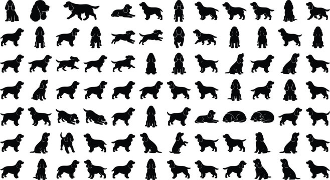Cocker Spaniel dog silhouettes collection in various poses and actions for graphic design