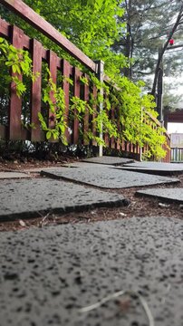 Stone stepping path runs beside a vine covered wooden fence in a leafy park