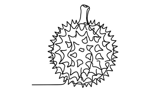 Durian fruit illustration on white background.