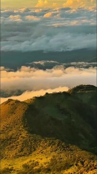 i: Rolling green mountain ridges glow warm golden in soft morning light, scattered small trees trace winding paths down gentle slopes