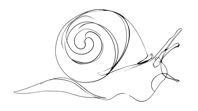 Minimalist snail line art drawing white background.