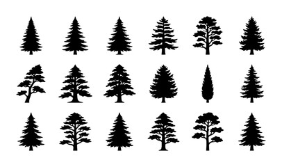 Obraz premium Diverse Pine Tree Silhouettes, Evergreen Conifer Vector Collection, Forest Woodland Icons, Nature Elements for Design