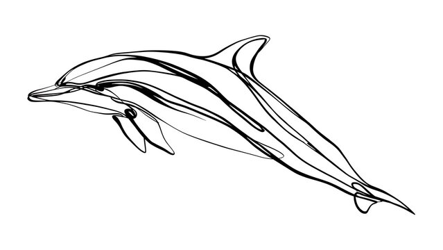 Elegant dolphin line art illustration white background.