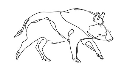 Fototapeta premium Minimalist line drawing of a boar on white background.