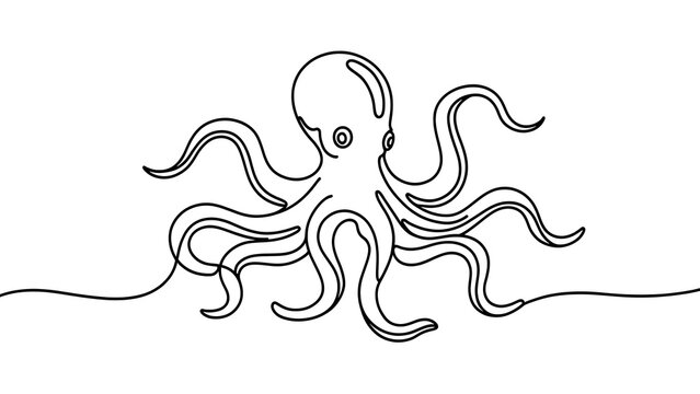 Octopus line art illustration white background.