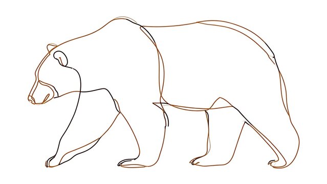 Minimalist bear line drawing white background.