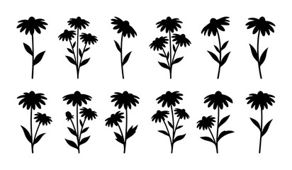 Fototapeta premium Black Silhouette Coneflower Vector Set, Wildflower Botanical Illustrations, Simple Floral Elements, Nature Graphics, Garden Flower Designs