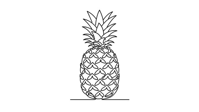 Minimalist pineapple line art illustration white background.