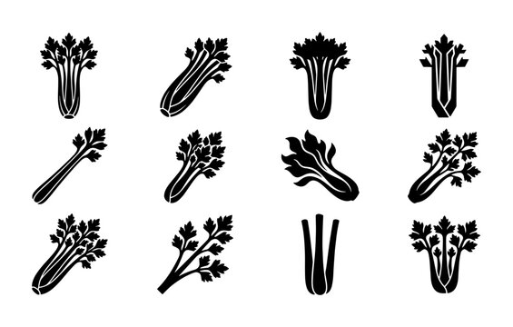 Celery Vegetable Icons Set, Fresh Stalks and Leaves Vector Graphics, Healthy Food Elements for Culinary and Health Designs
