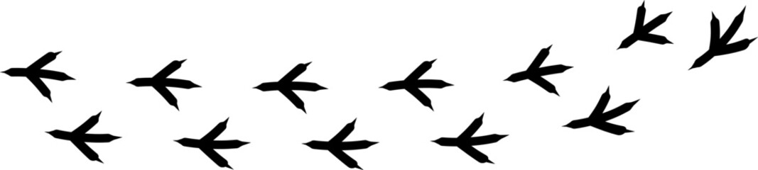 Fototapeta premium Bird footprint icon, chicken paw vector track, turkey foot print line pattern