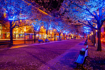Unter den Linden: Blue-lit avenue of trees along a Berlin boulevard at night, likely part of a light art installation, with benches, light trails from a passing bus, distant pedestrians, © That French Bloke