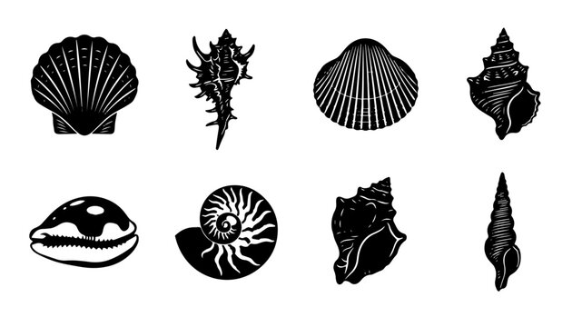 Seashell icon set ocean sea shell clam nautilus silhouette vector