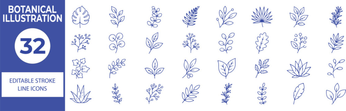 32 Botanical Plant Vector Outline Icons Set,Leaf, Foliage, Branch, Wildflower and Nature Line Symbols Collection,Editable Stroke