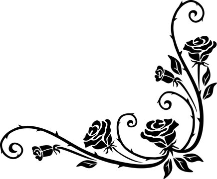 Flourish corner frame, scroll or border with rose flowers, thorns and leaves. Vector monochrome elegant decoration, vintage curly decor in victorian style for wedding invitation cards