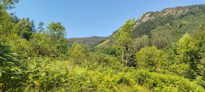 Paisaje monta&ntilde;oso verde con &aacute;rboles y peque&ntilde;a casa rural bajo cielo azul