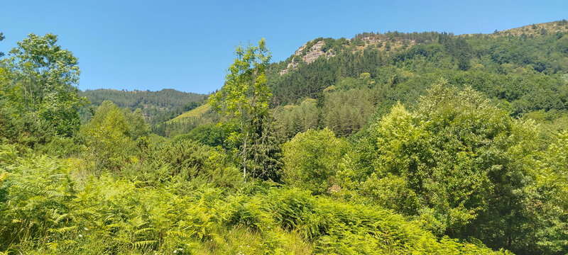 Paisaje monta&ntilde;oso verde con &aacute;rboles y peque&ntilde;a casa rural bajo cielo azul