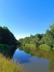 Fototapeta premium Slow moving river winding through a dense green forest. Summer nature landscape with clear blue sky and water reflection