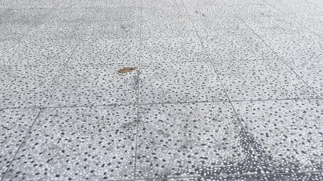 Exposed aggregate concrete pavement texture with small pebbles