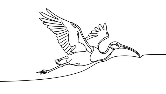 white background flying ibis bird line art drawing.