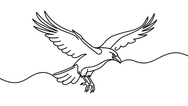 Eagle flying with wings spread white background.